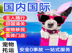唐山三女河机场快运国际宠物托运 【国